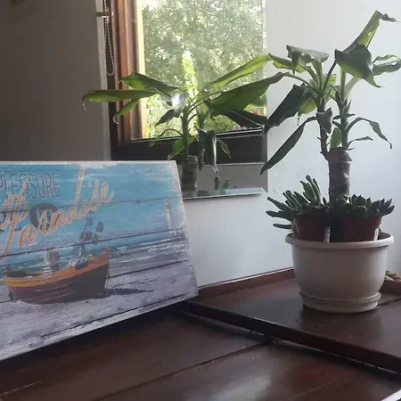 Apartamento Enjoy Summer Pula