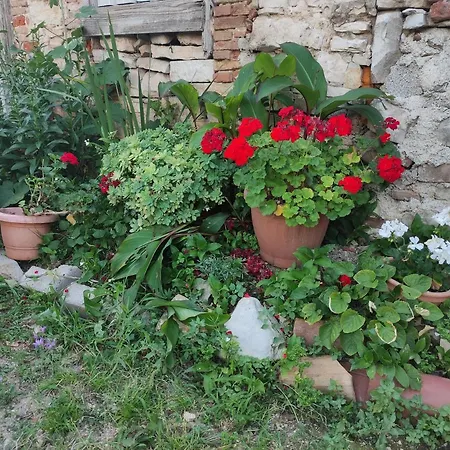 Apartament Enjoy Summer