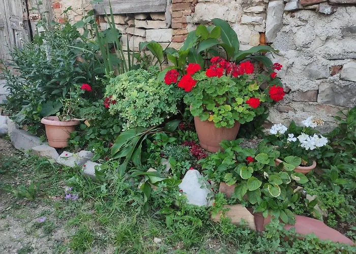 Apartament Enjoy Summer